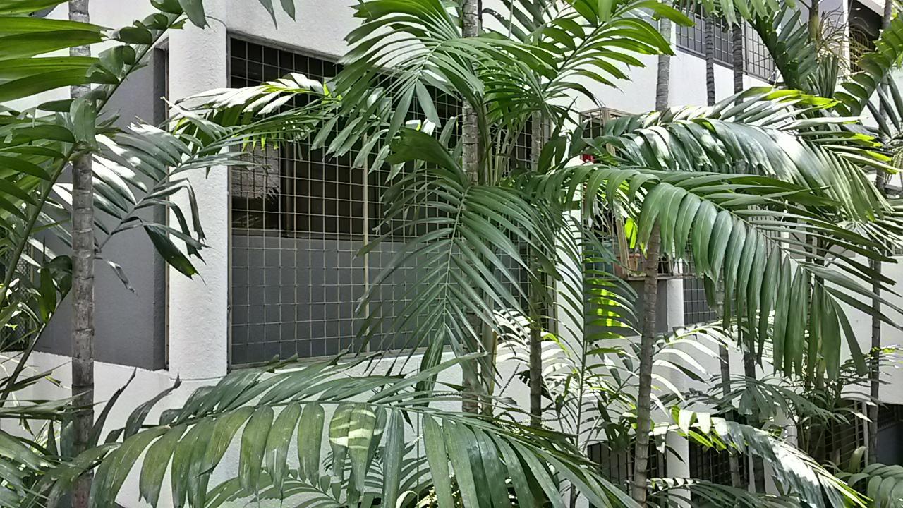 The Garden Apartment At Bangsar Kuala Lumpur Exterior photo